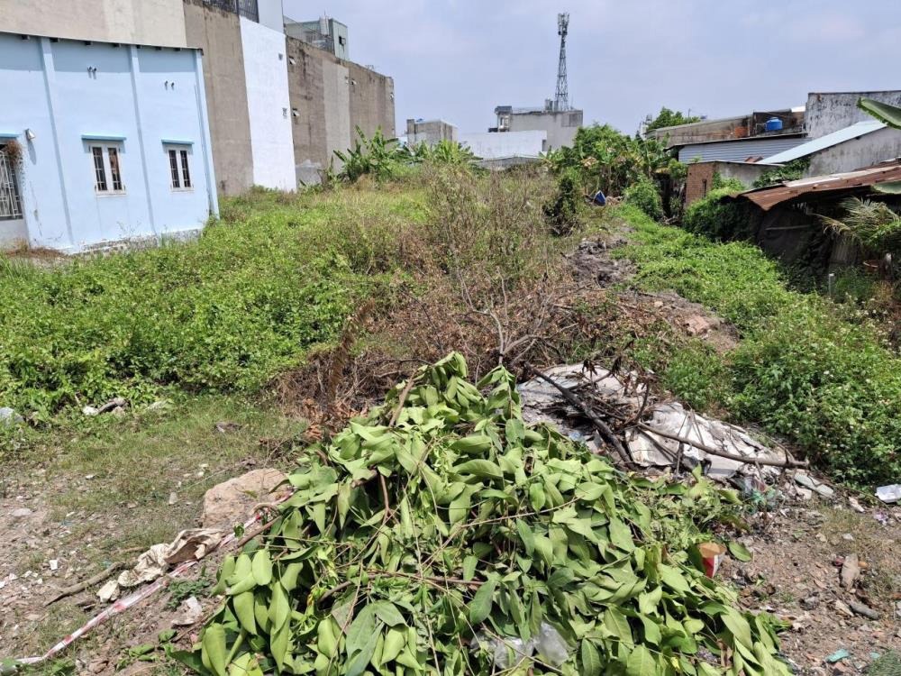 🔥 Đất Nở Hậu Q12 - 1502m2, Ngang 14m - Giá Rẻ Nhất Chỉ 27 Tỷ