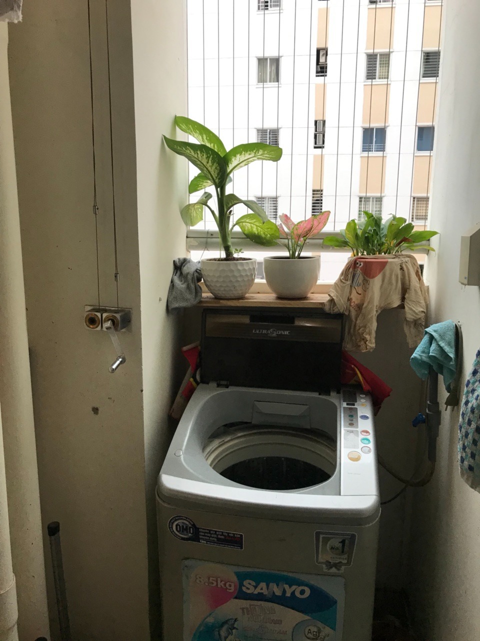 Căn Hộ HQC Hóc Môn 50m2 - Giá 1.1 Tỷ - 2PN, 1WC