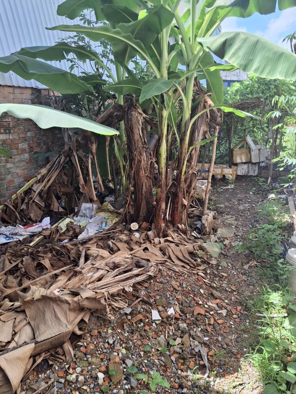 🔥 Bán Đất Ngang 76m² Hà Huy Giáp, Quận 12 - Giá 2.78 Tỷ