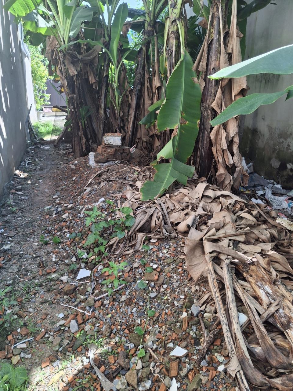 🔥 Bán Đất Ngang 76m² Hà Huy Giáp, Quận 12 - Giá 2.78 Tỷ