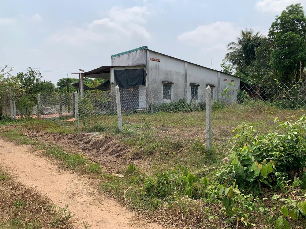 Sốt đất Củ Chi: Lô đất 2.5 tỷ nay chỉ còn 1.9 tỷ - Đầu tư/Nhà vườn