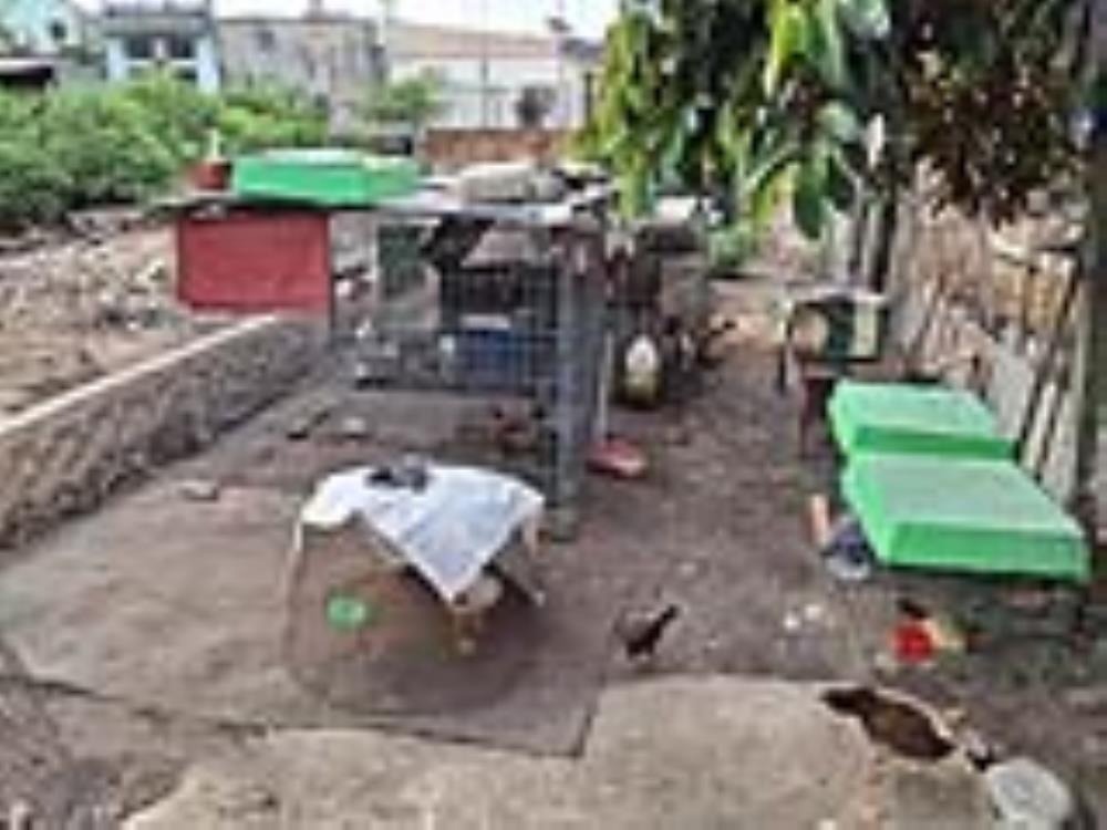 Đất Nguyễn Ảnh Thủ, 155m2, 5x31m - Giá 3.8 Tỷ (TL)