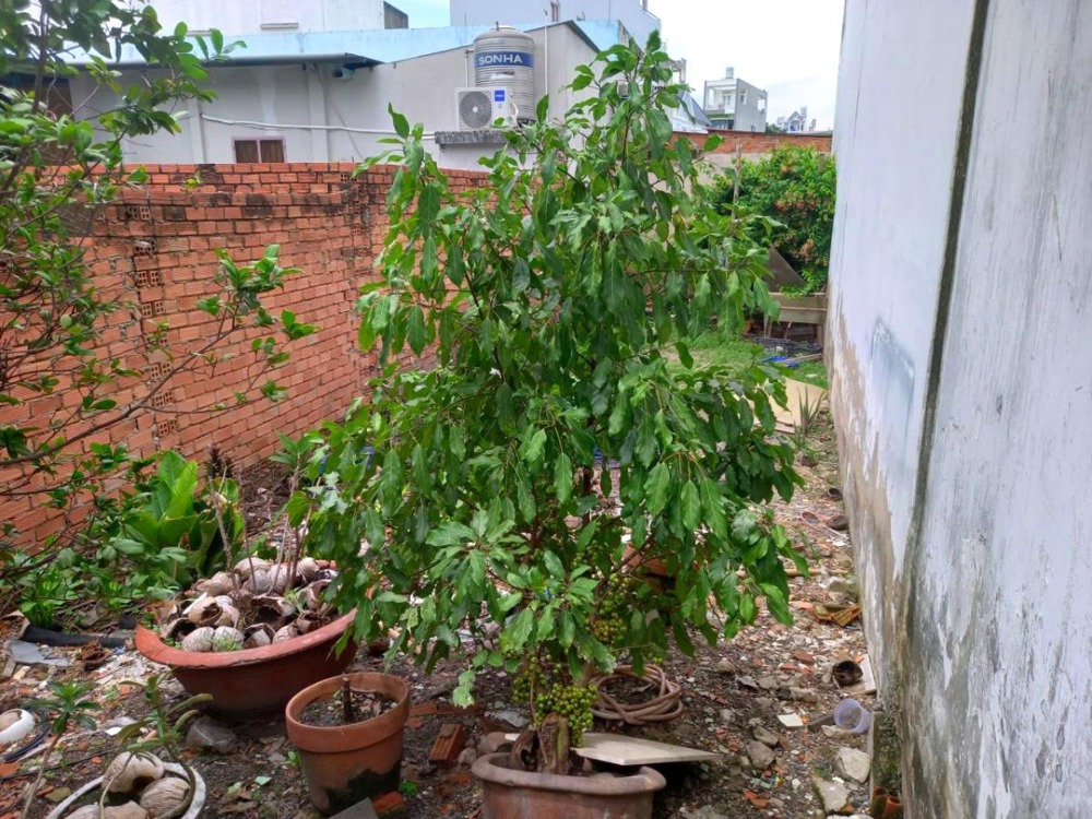 Đất Nở Hậu Nguyễn Thị Búp, Quận 12 - 72m2, Giá 3.2 Tỷ (TL)