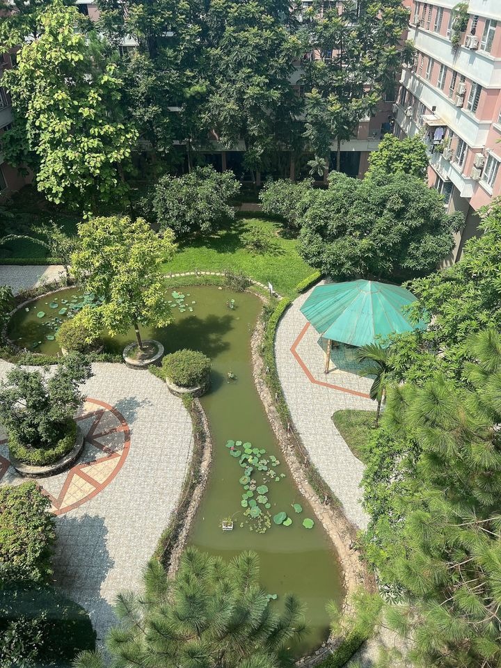 Căn hộ 36m2 Đặng Xá, Gia Lâm - Giá 1.55 tỷ - Full Nội thất | Vị trí đẹp, pháp lý rõ ràng