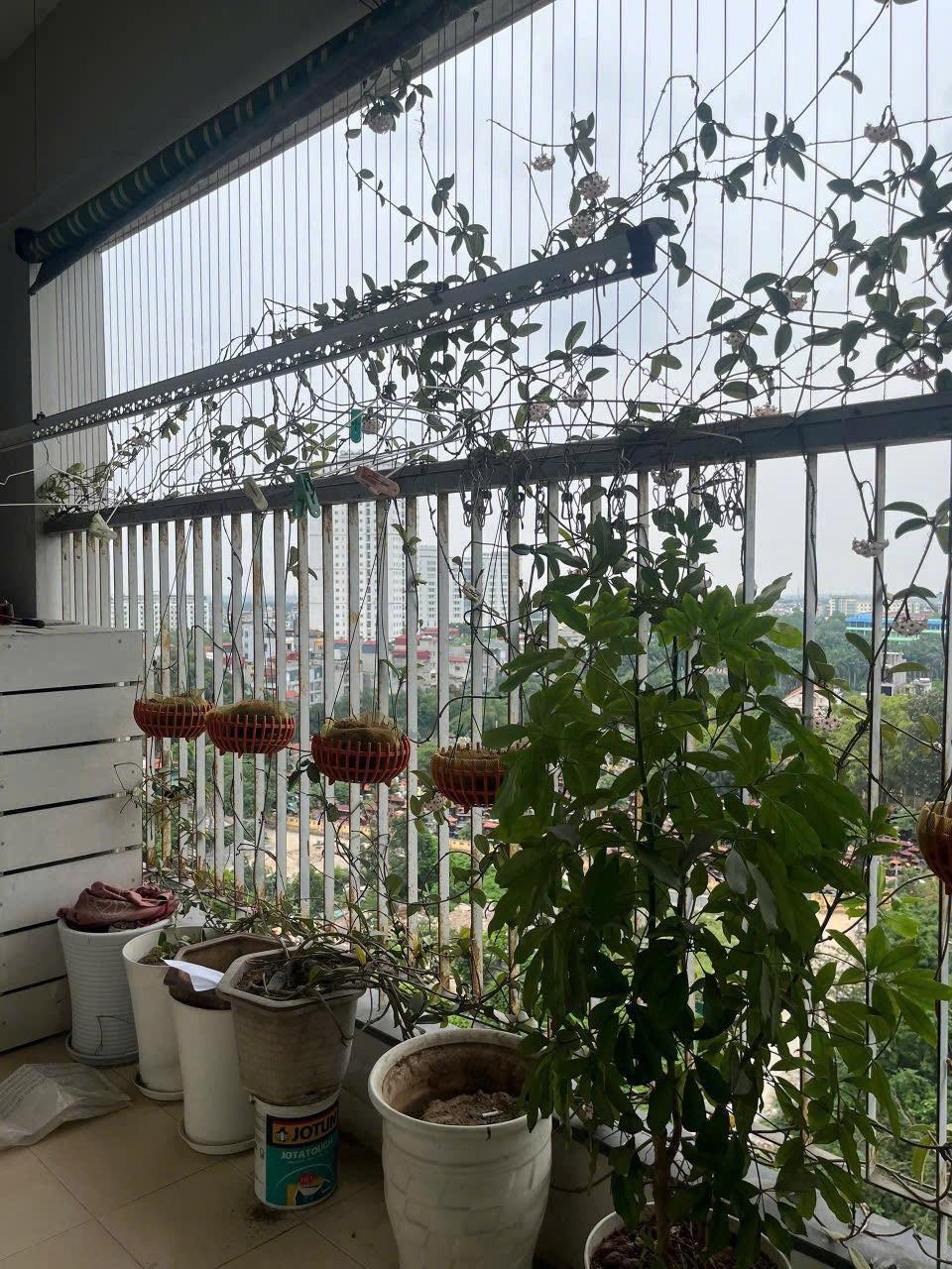 Bán Căn Hộ Lô Góc RESCO Cổ Nhuế: 120m², 3PN, Giá 6.8 Tỷ