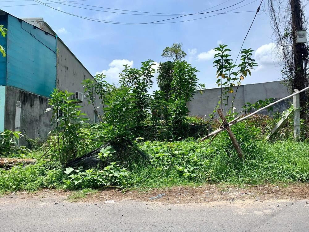 📢 Đất 4x20m Mặt Tiền Mỹ Huề, Trung Chánh, Hóc Môn - SHR