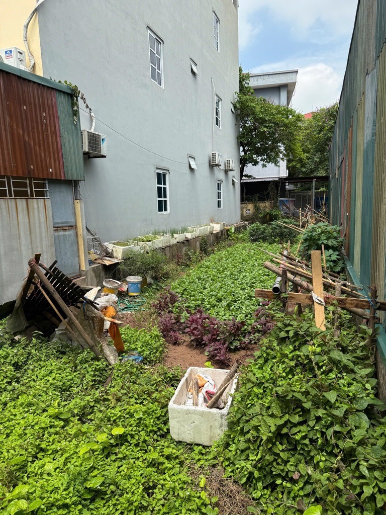 Bán Đất 96m² Vị Trí Đẹp Bắc Từ Liêm - Sổ Đỏ, Pháp Lý Chuẩn