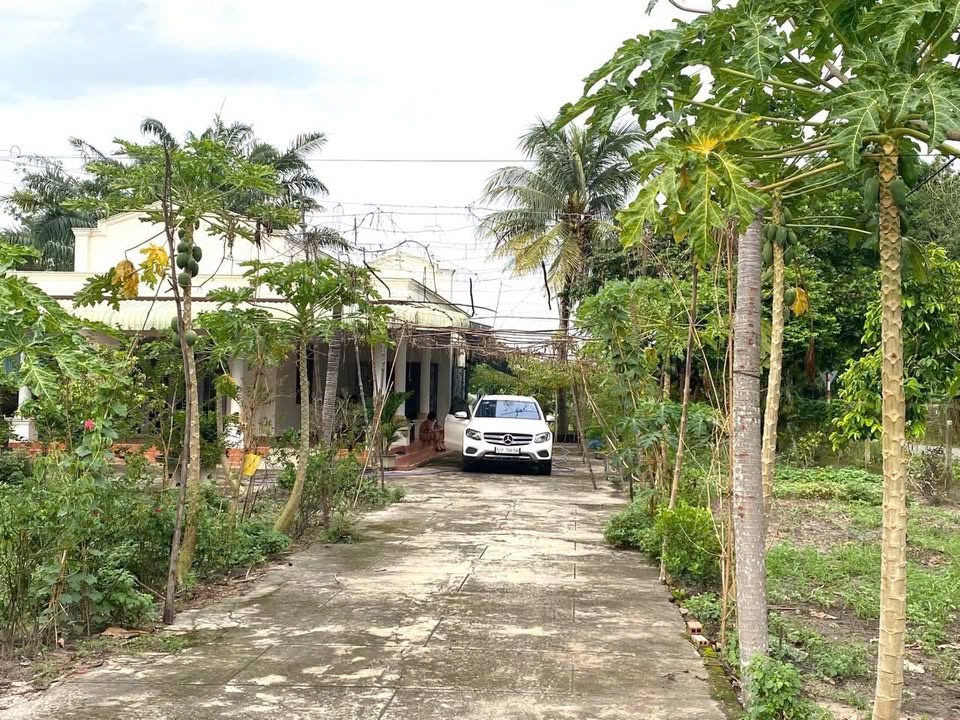 Đất Góc 2 Mặt Tiền Củ Chi - 30 Tỷ - Nguyễn Thị Rành - Nhuận Đức