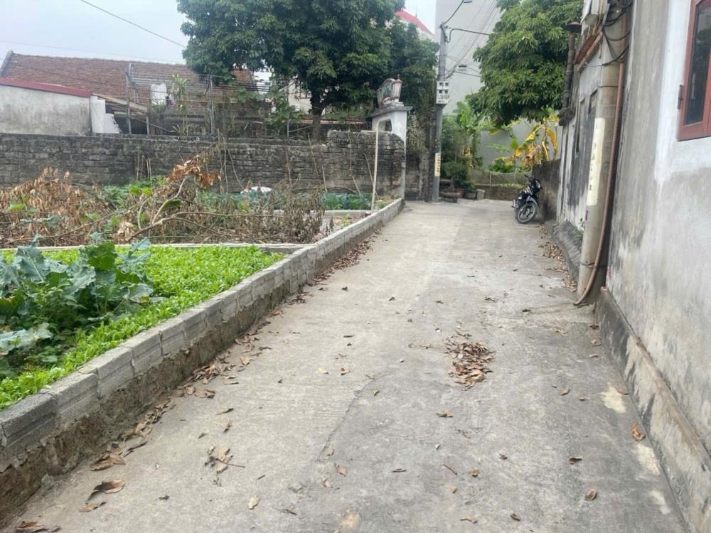 Bán Lô Đất Hiếm Vân Đình - Vị Trí Đẹp, Pháp Lý Chuẩn, Đầu Tư Sinh Lời