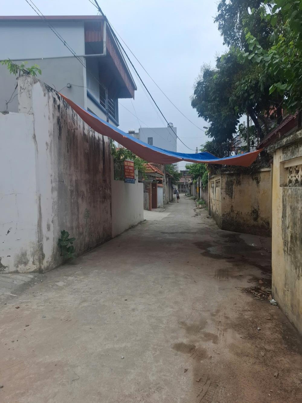 Bán Đất Hậu Xá - Vân Đình: Vị Trí Đắc Địa, Giá Rẻ Nhất Khu Vực