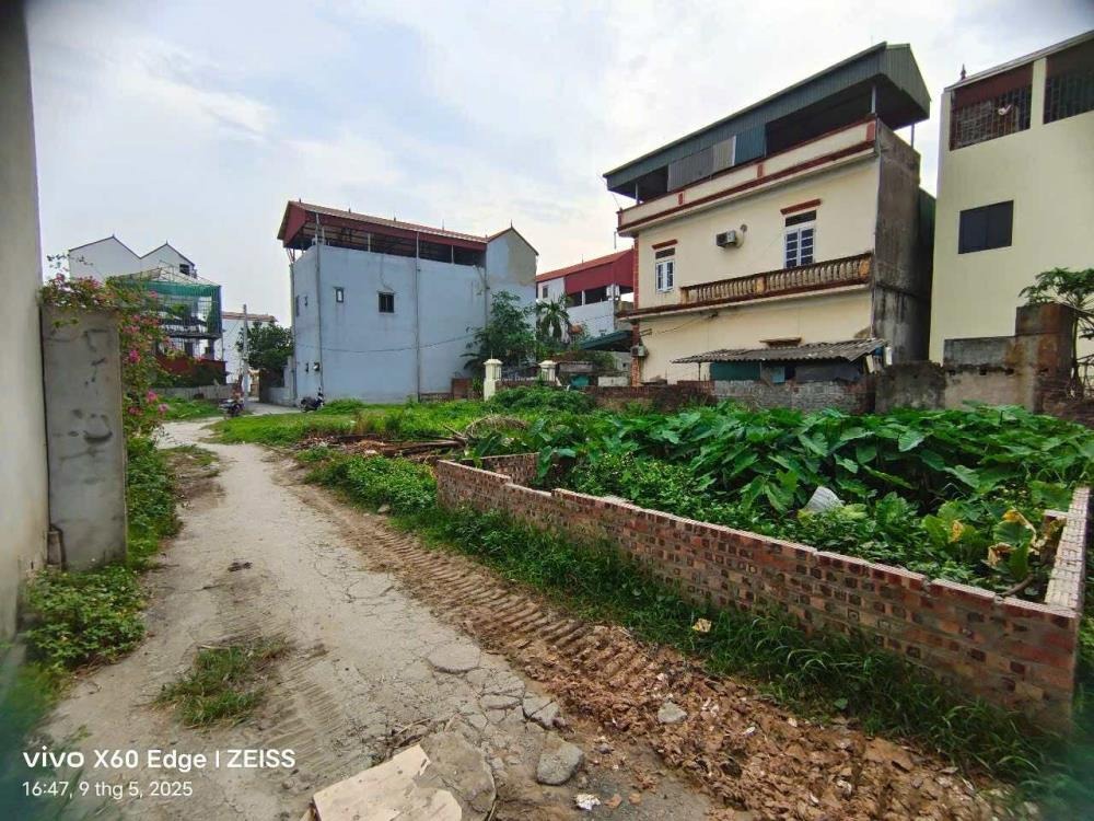 Lô Đất 100m² Đông Anh - Vị Trí Vàng, Tiềm Năng Sinh Lời