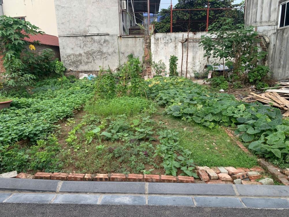 Đất Nhuế, Kim Chung - 46m2, 2 Mặt Thoáng, Giá Tốt - Đầu Tư/Ở