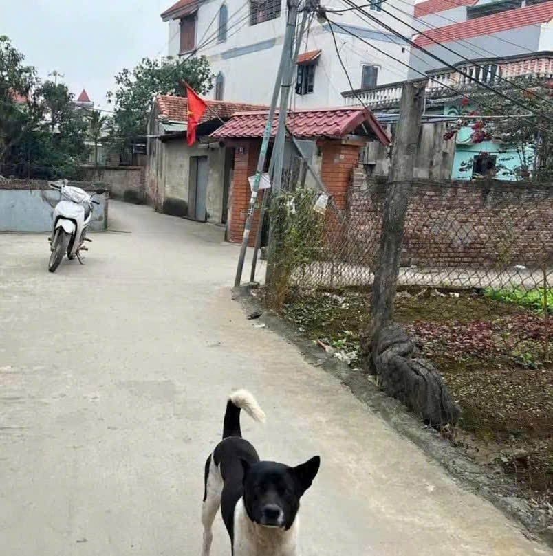 Bán Lô Đất Vị Trí Đắc Địa Gần Chợ Mun, Trường Học, Tiện Ích Ngút Ngàn