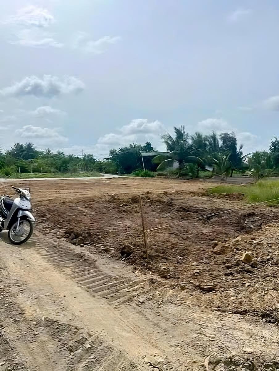 Bán Đất Nền Bình Chánh 100m2, Full Thổ Cư, Gần Đường Đinh Đức Thiện