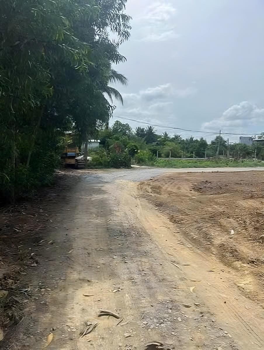 Bán Đất Nền Bình Chánh 100m2, Full Thổ Cư, Gần Đường Đinh Đức Thiện