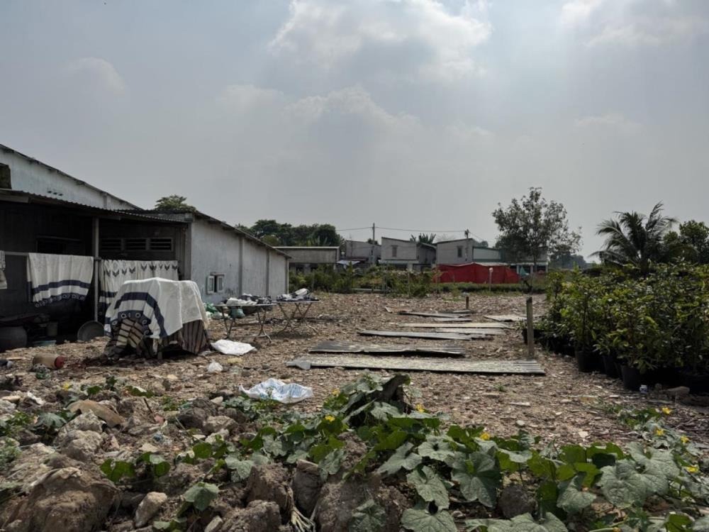 Đất Nở Hậu Vườn Lài Quận 12: 304m2, Ngang 4m, Giá Chỉ 13.7 Tỷ