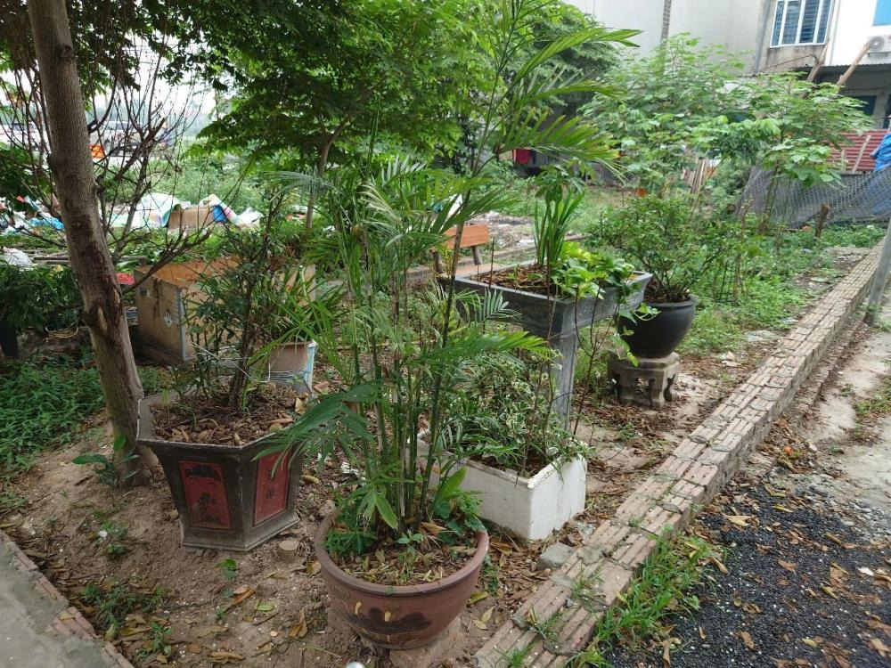 Bán đất Đông Anh - Kim Nỗ 85m2, Ô tô vào tận nơi, Đầu tư Sinh lời