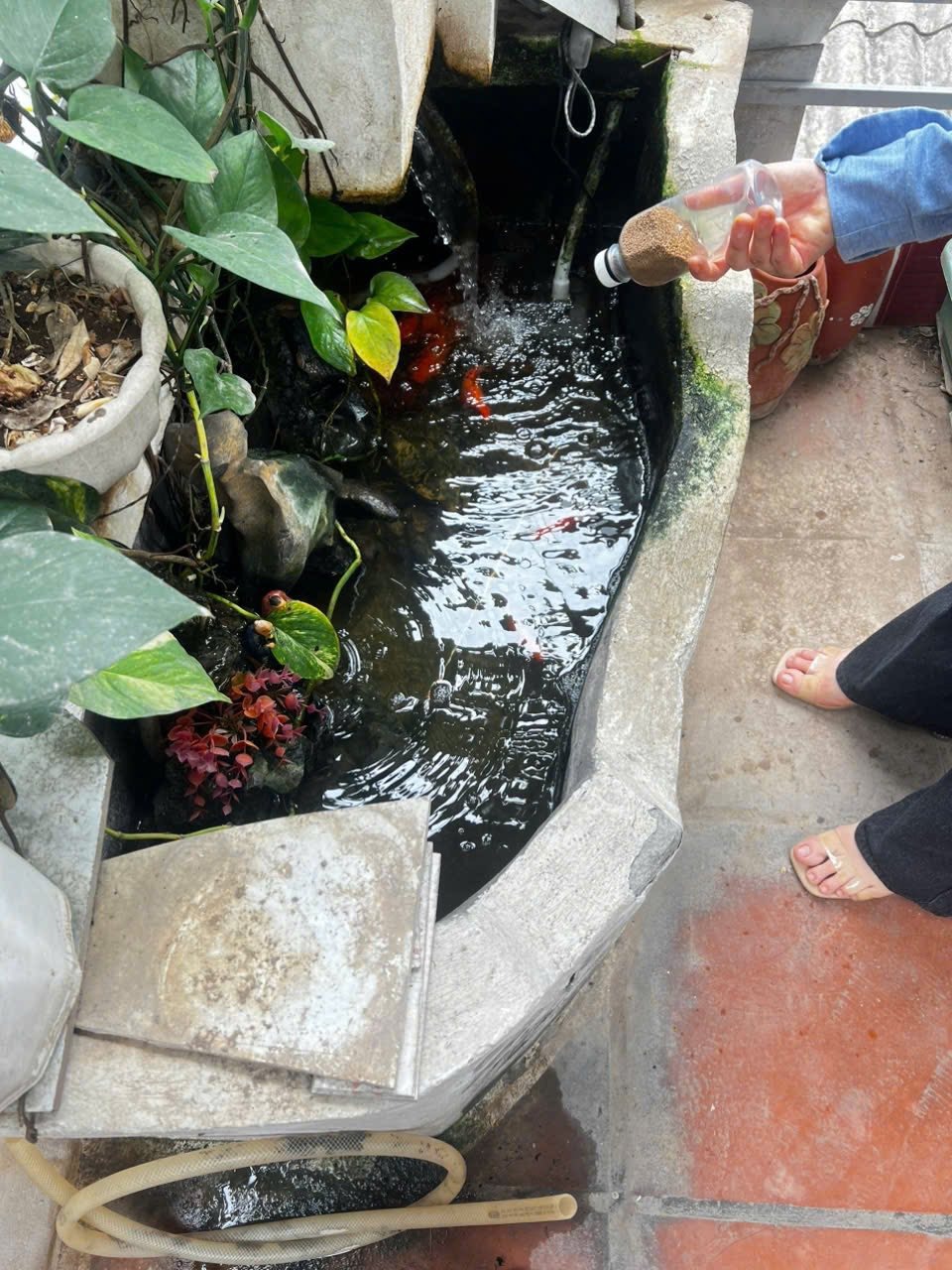 Bán Nhà Riêng Khâm Thiên, Đống Đa - 3PN, 4WC, 3.8 tỷ - Vị Trí Đẹp