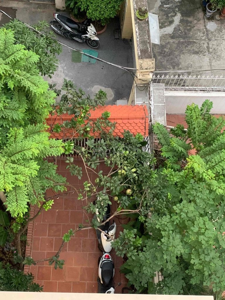 🌿 Bán nhà 4 tầng có sân vườn Tây Hồ | Ngõ ô tô - Vị trí đẹp