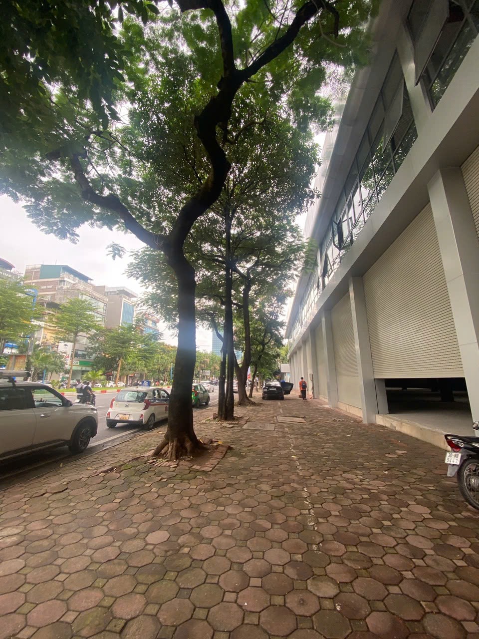 Cho Thuê Showroom Mặt Phố Hoàng Quốc Việt Giá Sốc - 0866791386