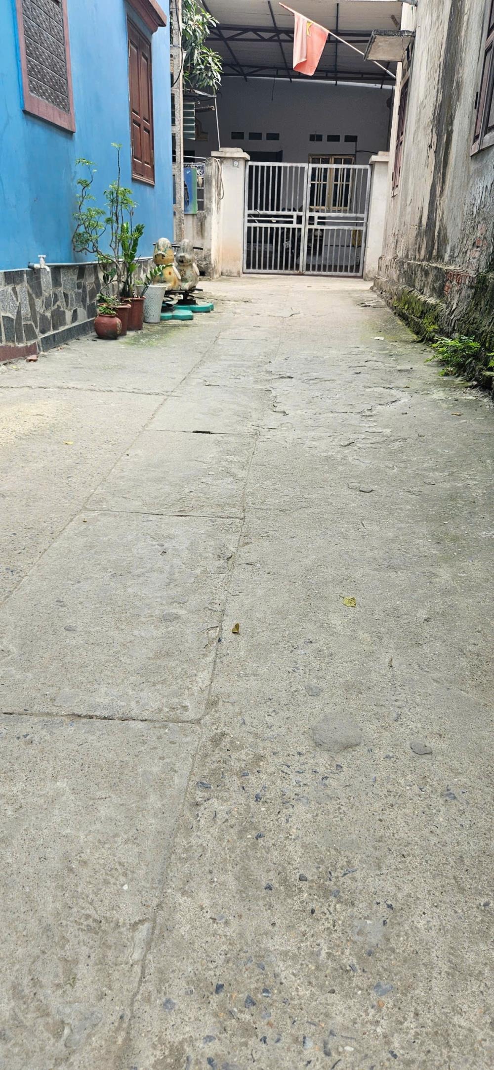 Bán Đất Kim Chung 52m2 - Vị Trí Đẹp, Dân Cư Sầm Uất, Đầu Tư Sinh Lời