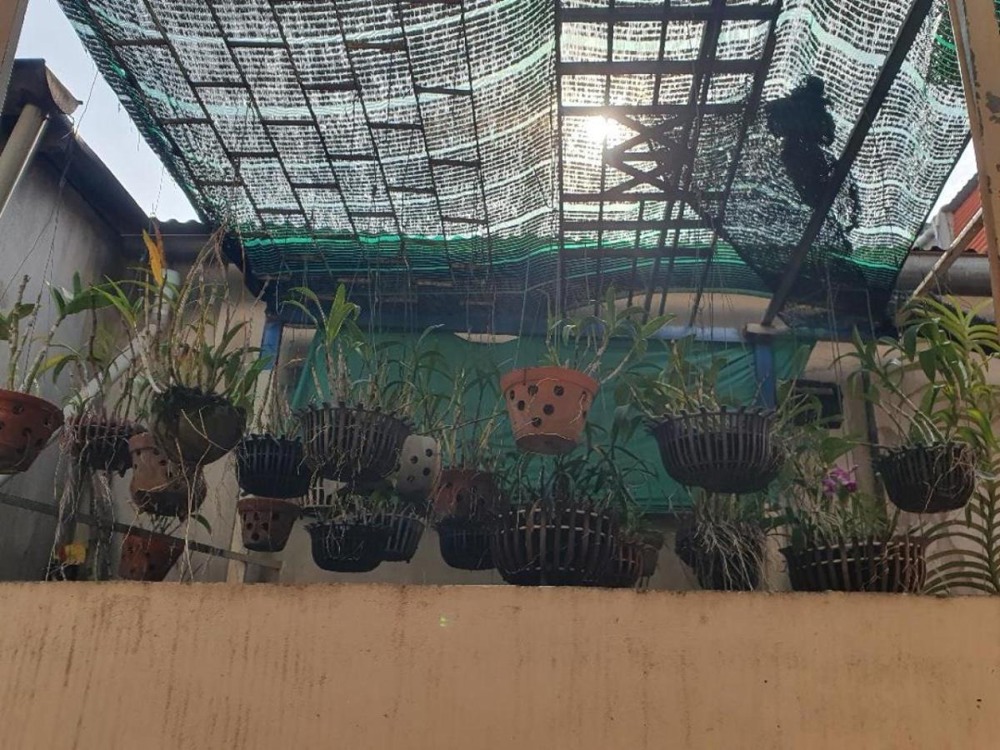 Nhà Nở Hậu Sát Chợ Thủ Đức: 45m2, Giá 2.x Tỷ, SHR