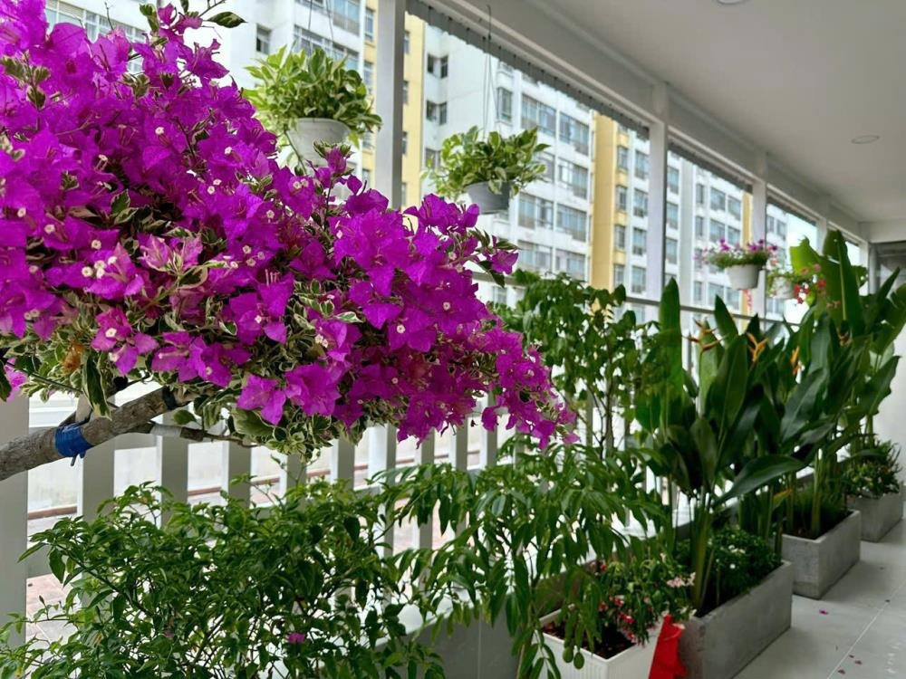 Bán Căn Hộ Sky Garden 2 Phú Mỹ Hưng 3PN Siêu Rộng - View Đẹp, Giá Tốt