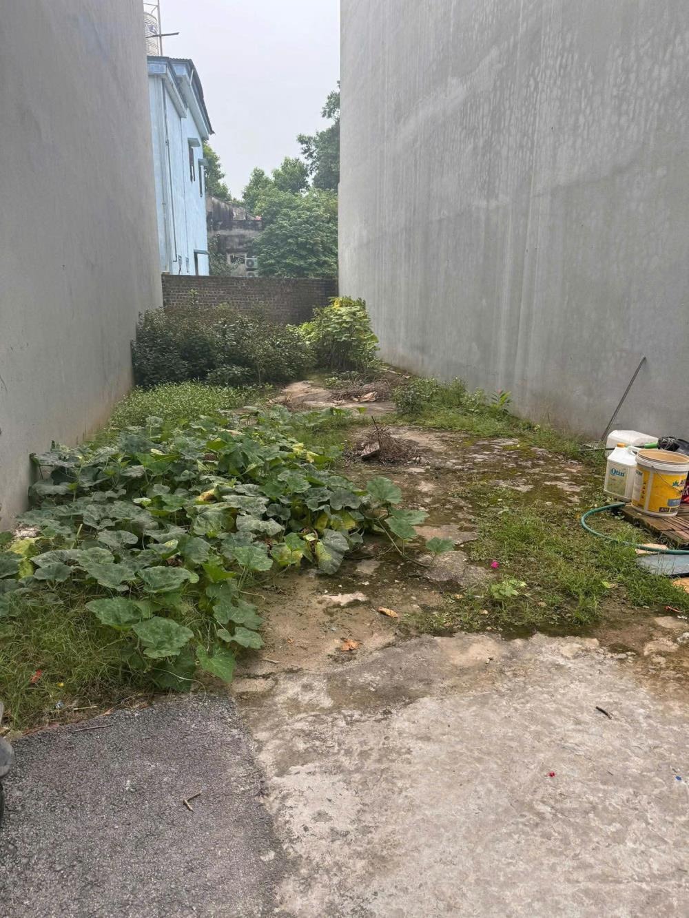 Đất Đông Dư - Vị Trí Vàng, Tiềm Năng Sinh Lời Cao | Giá Chỉ 4.2 Tỷ