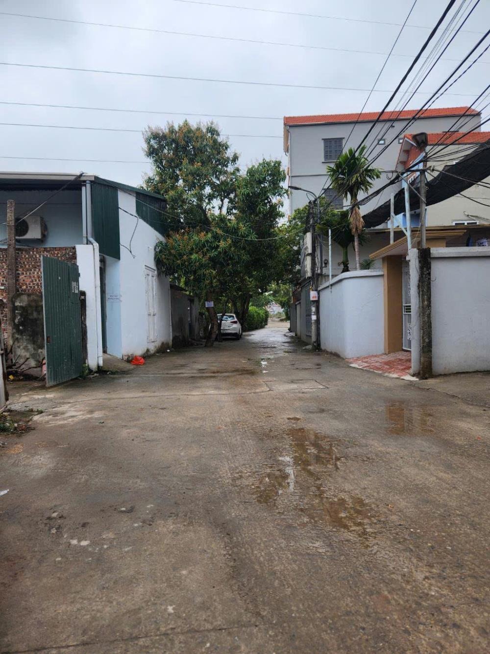 Bán Đất Hậu Ái, Vân Canh: Vị Trí Đắc Địa, Tương Lai Tăng Trưởng