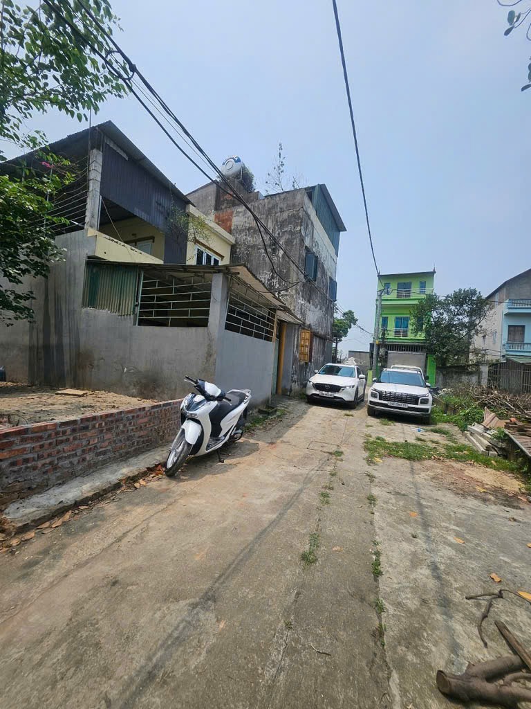 Bán Đất Xóm Vang Cổ Loa - 50m2 Ô Tô Tránh - Tiện Ích Bạt Ngàn