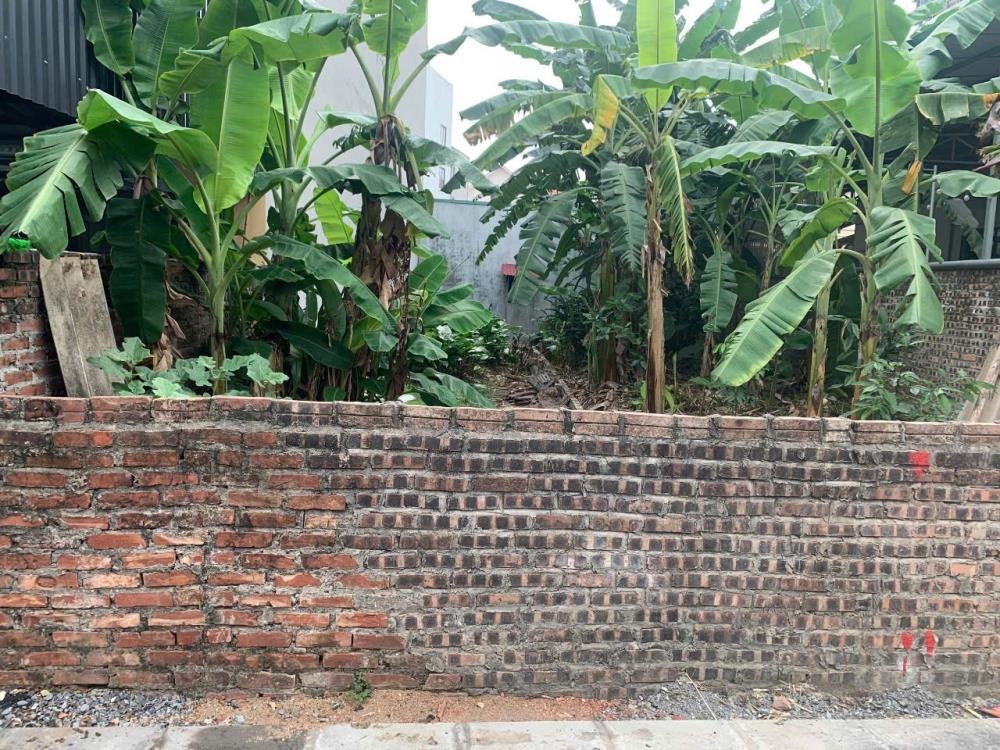 Bán Đất Nam Hồng, Đông Anh: Khu Dân Cư Phân Lô, Ô Tô 3.5 Tấn, Tiềm Năng Lớn