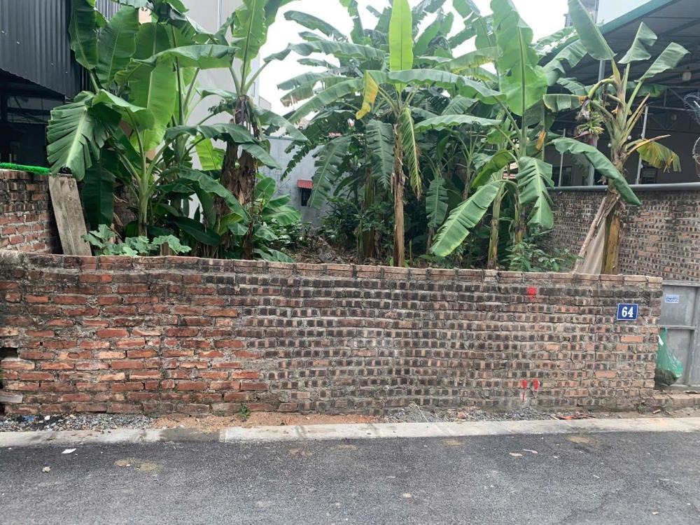 Bán Đất Nam Hồng, Đông Anh: Khu Dân Cư Phân Lô, Ô Tô 3.5 Tấn, Tiềm Năng Lớn