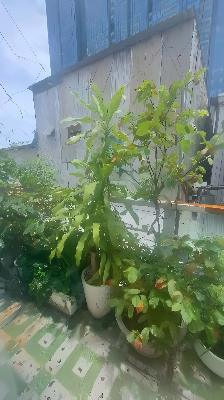 Bán Nhà Vị Trí Đắc Địa Quận 7: 2 Mặt Tiền, Gần Trung Tâm Hành Chính