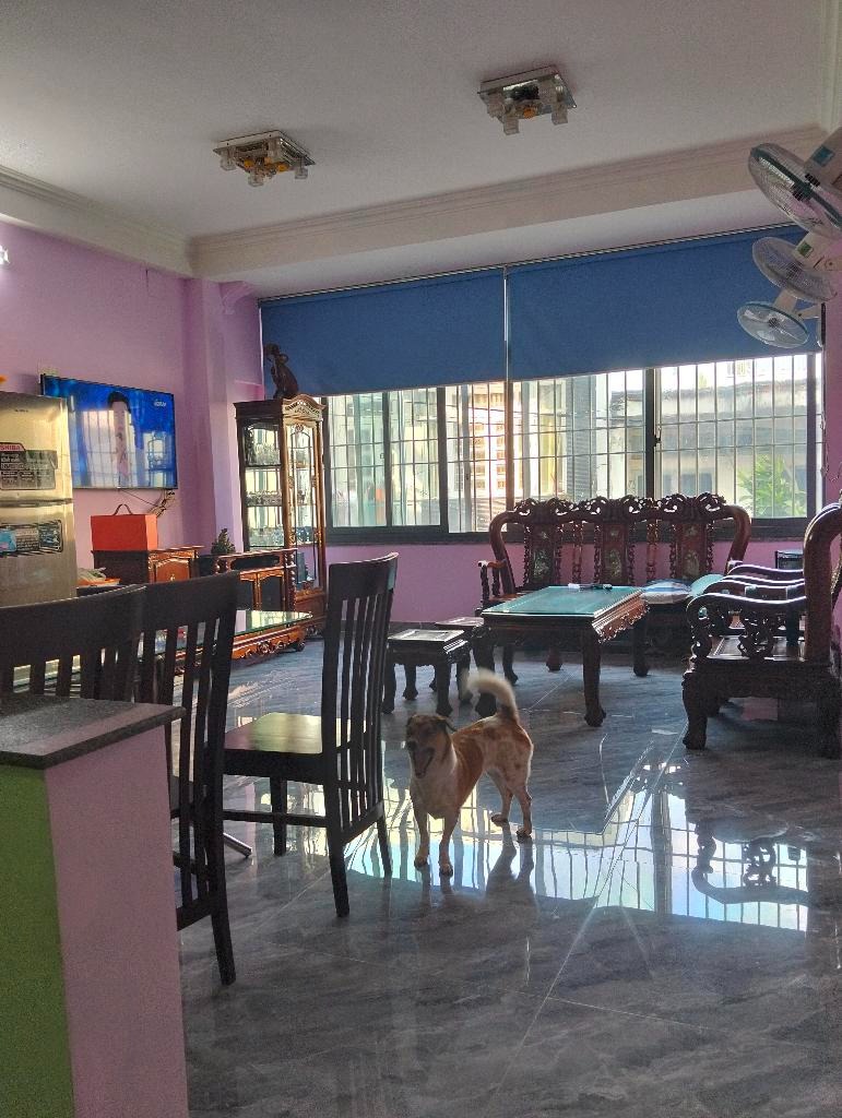 Bán Nhà 5 Tầng, Hẻm 7m, Phạm Văn Chiêu, Gò Vấp - 8.5 Tỷ