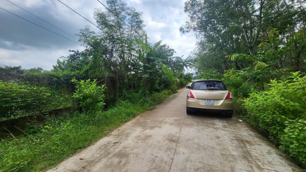 Bán Lô Đất 1000m2 Đỗ Đăng Tuyển, Củ Chi - Ngay Chợ Lô 6, Giá 3.3 Tỷ