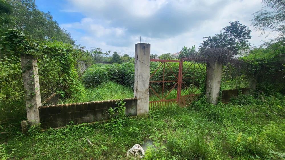 Bán Lô Đất 1000m2 Đỗ Đăng Tuyển, Củ Chi - Ngay Chợ Lô 6, Giá 3.3 Tỷ