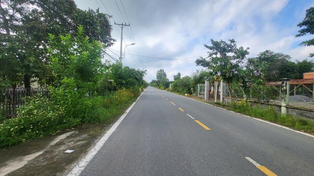Bán Lô Đất 1000m2 Đỗ Đăng Tuyển, Củ Chi - Ngay Chợ Lô 6, Giá 3.3 Tỷ