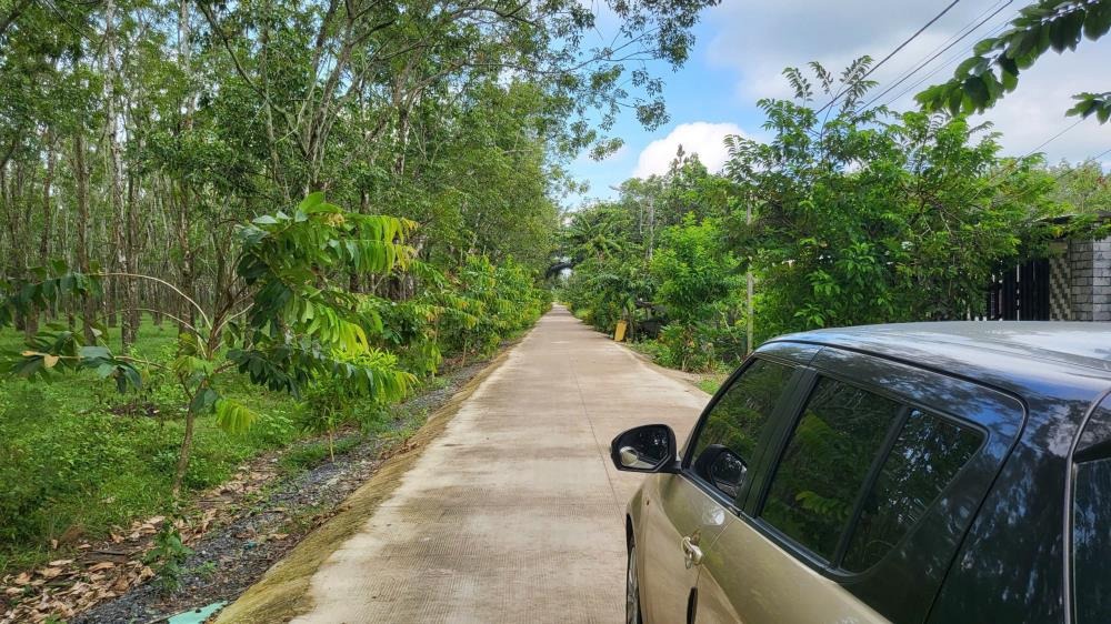 Bán Lô Đất 1000m2 Đỗ Đăng Tuyển, Củ Chi - Ngay Chợ Lô 6, Giá 3.3 Tỷ