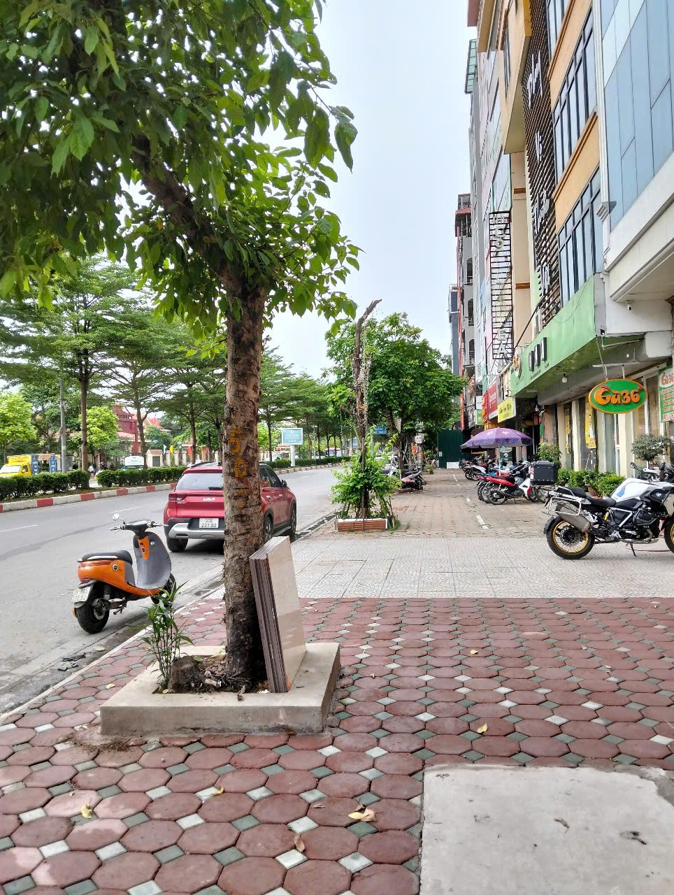 Văn Phòng - Trụ Sở Công Ty Cao Cấp 75m2, 8 Tầng, Mặt Tiền 6m, Lô Góc, Trần Vỹ, Cầu Giấy