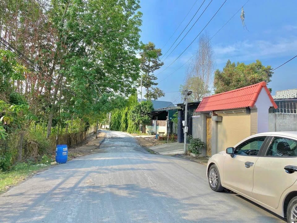🏡 Đất Vàng Mặt Tiền Tân Thông Hội, Củ Chi - 1.5 Tỷ - Ngân Hàng Hỗ Trợ