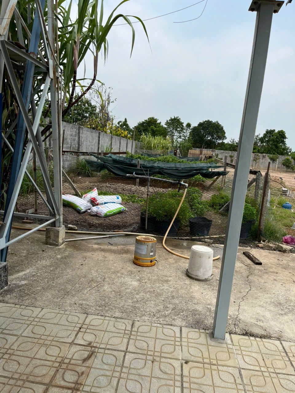 Cho Thuê Nhà Kho Bãi Mặt Bằng Củ Chi Rộng Rãi - Giá Tốt