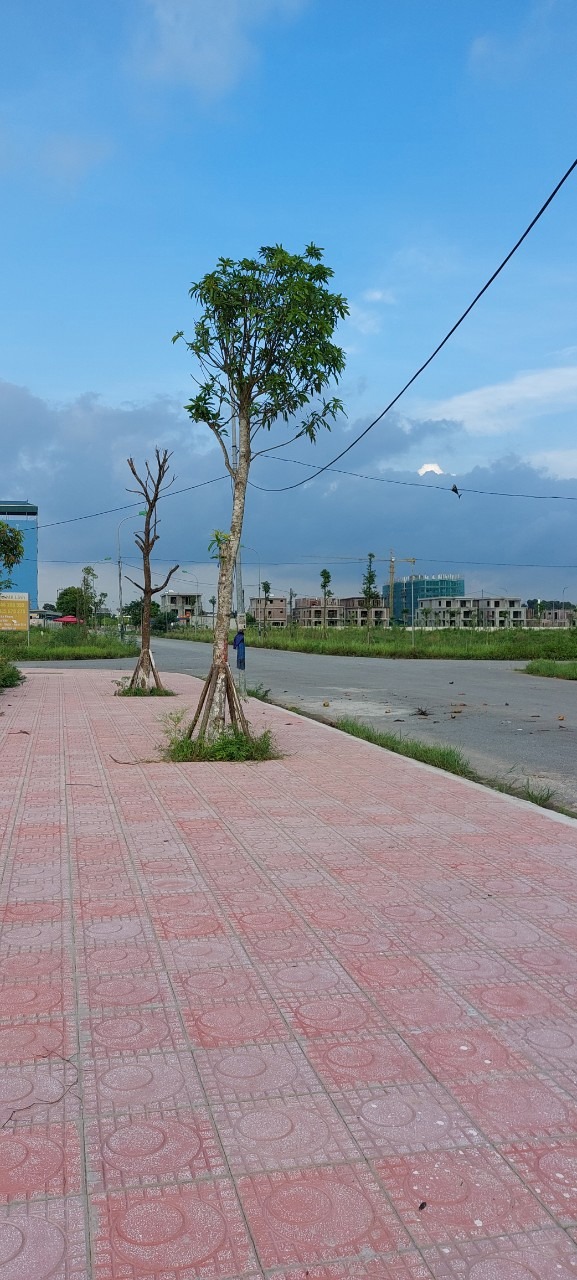 Chuyển nhượng liền kề Cienco5 Mê Linh - 30tr/m - Vị trí đẹp, đường 24m