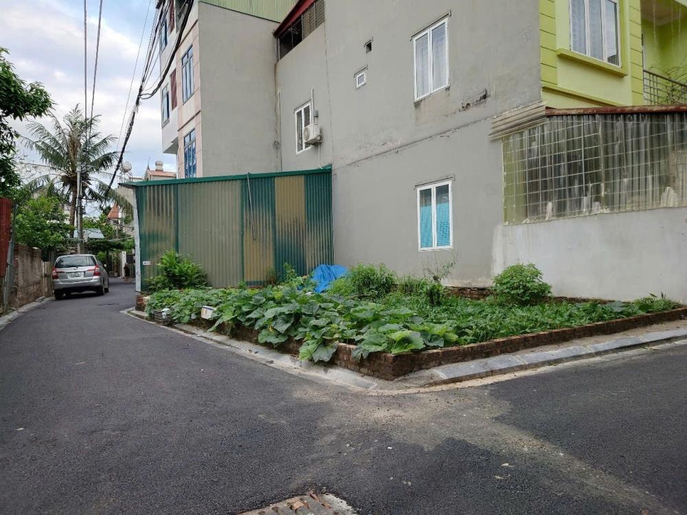 Lô Góc Đông Anh - Vị Trí Đắc Địa, Tiềm Năng Đầu Tư Sinh Lời