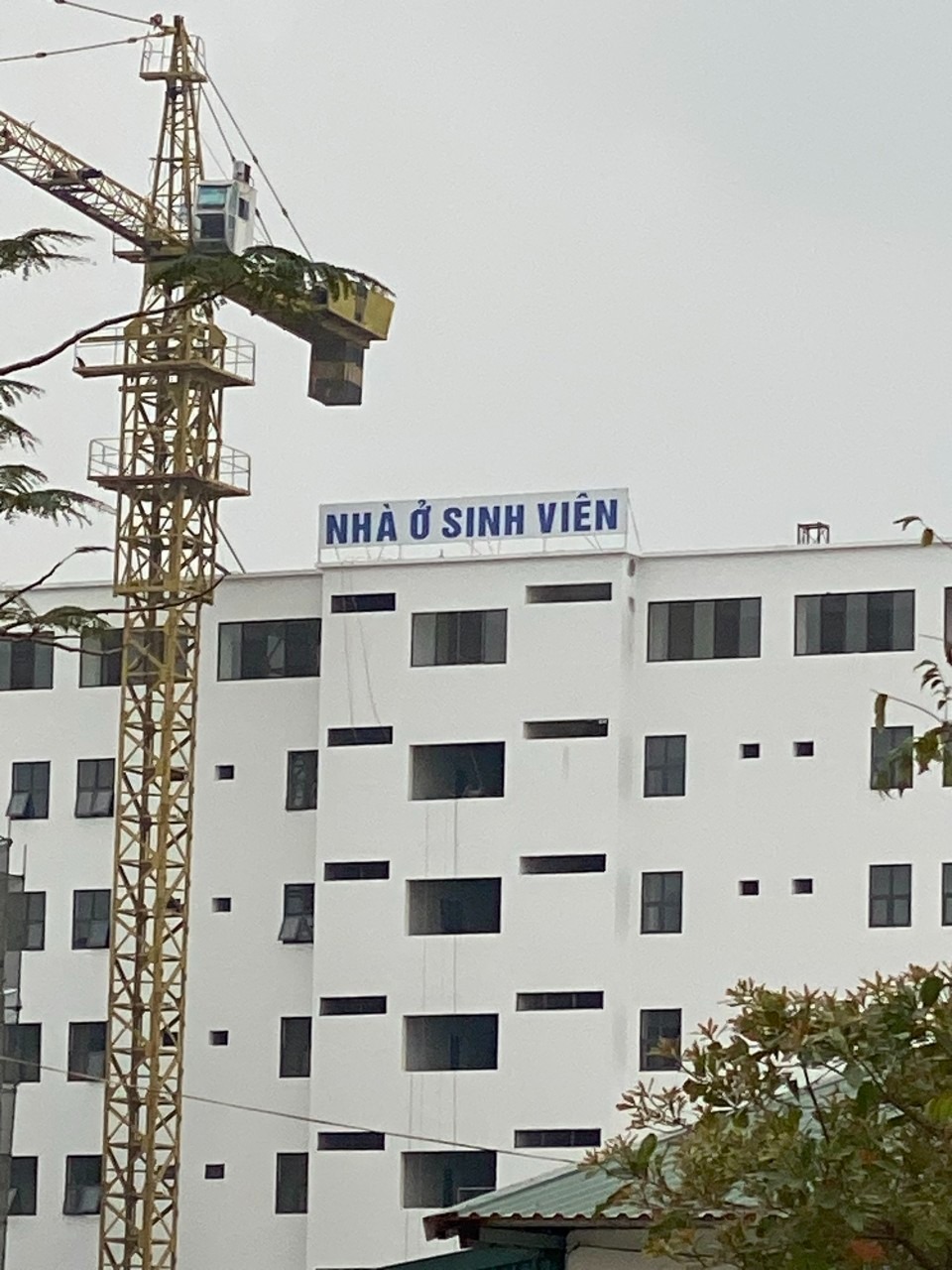 Bán Gấp Liền Kề Cienco5 Mê Linh - Giá Rẻ, Vị Trí Đẹp, Gần Đại Học