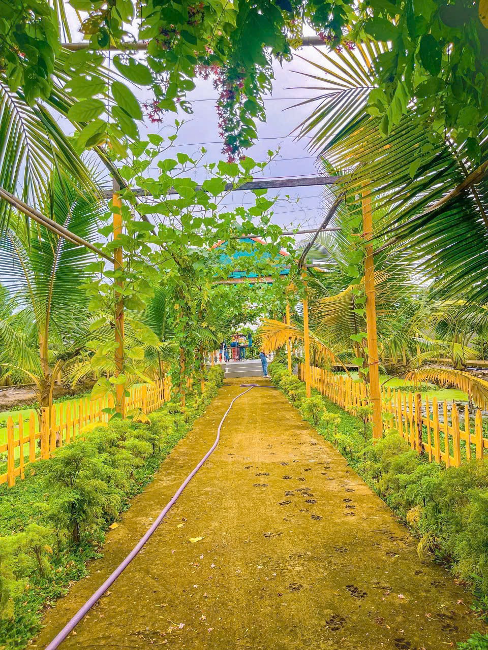 Nhà Vườn Nghỉ Dưỡng Tân Thạnh Đông - Củ Chi: 2240m2, 4PN, Giá 15 Tỷ