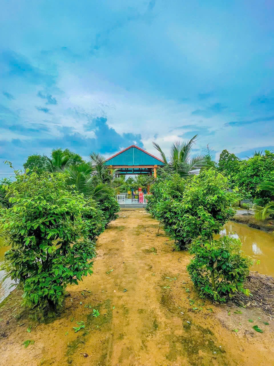 Nhà Vườn Nghỉ Dưỡng Tân Thạnh Đông - Củ Chi: 2240m2, 4PN, Giá 15 Tỷ
