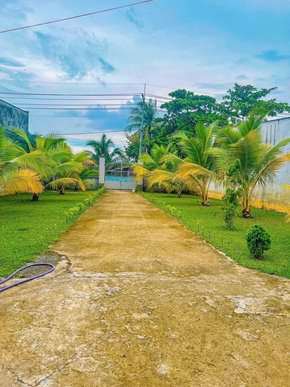 Nhà Vườn Nghỉ Dưỡng Tân Thạnh Đông - Củ Chi: 2240m2, 4PN, Giá 15 Tỷ