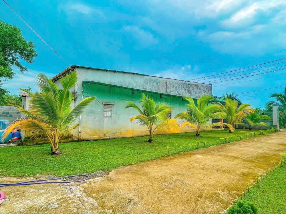 Nhà Vườn Nghỉ Dưỡng Tân Thạnh Đông - Củ Chi: 2240m2, 4PN, Giá 15 Tỷ