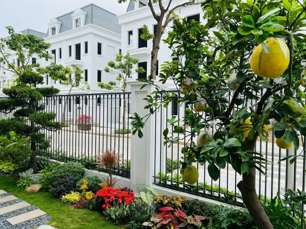Bán Nhanh Biệt Thự Solasta Mansion Dương Nội 170m2 - 27 tỷ