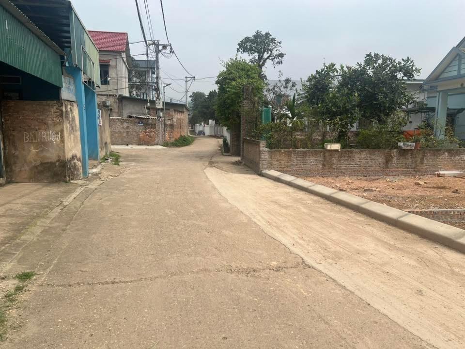 Bán Đất Nền 100m2 Minh Phú, Sóc Sơn - Vị Trí Đẹp, Giá Tốt, Đầu Tư Sinh Lời
